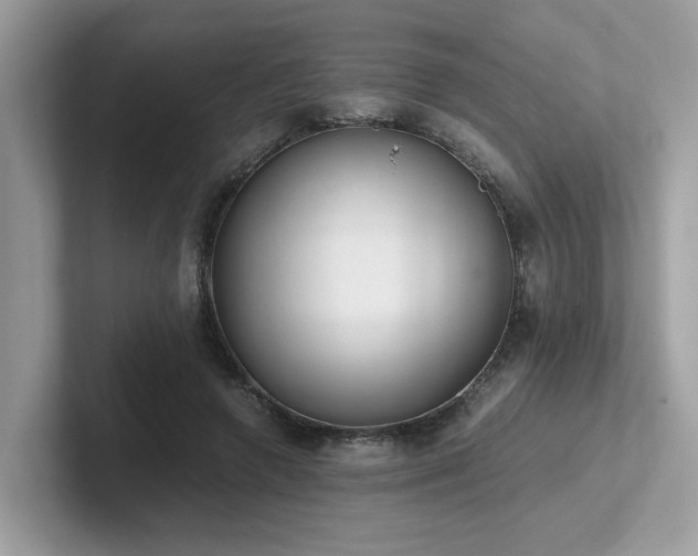 X0000102300546200807251437