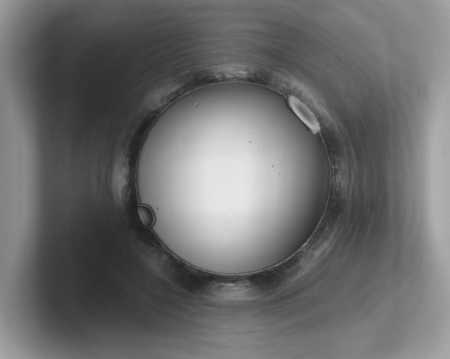 X0000102300548200807251437