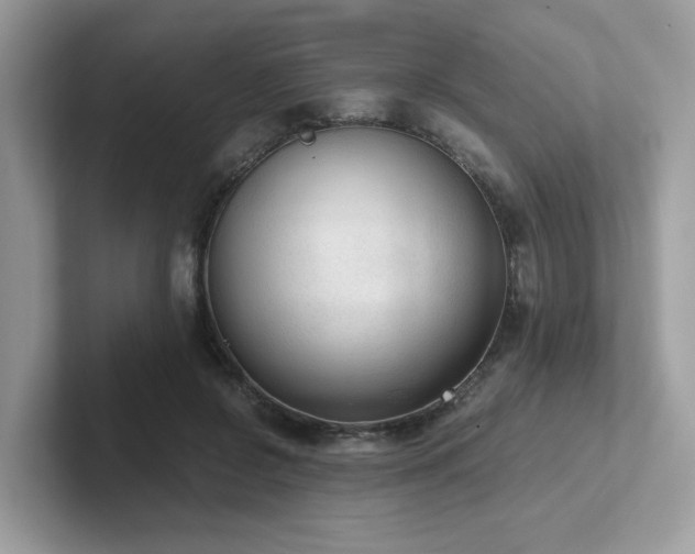 X0000102300550200807251437