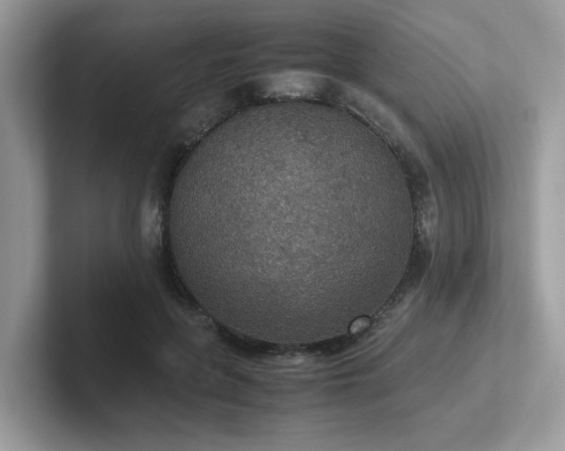 X0000102300551200807251437