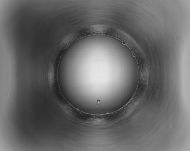 X0000102300552200807251437