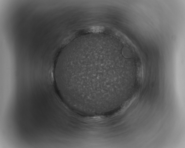 X0000102300553200807251437