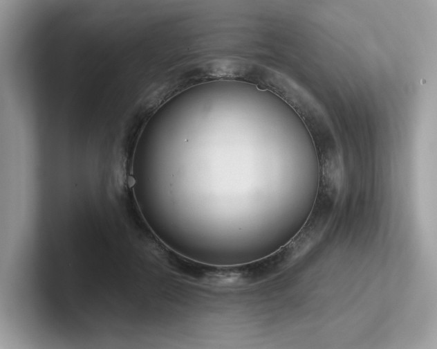 X0000102300554200807251437