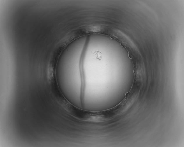 X0000102300555200807251437