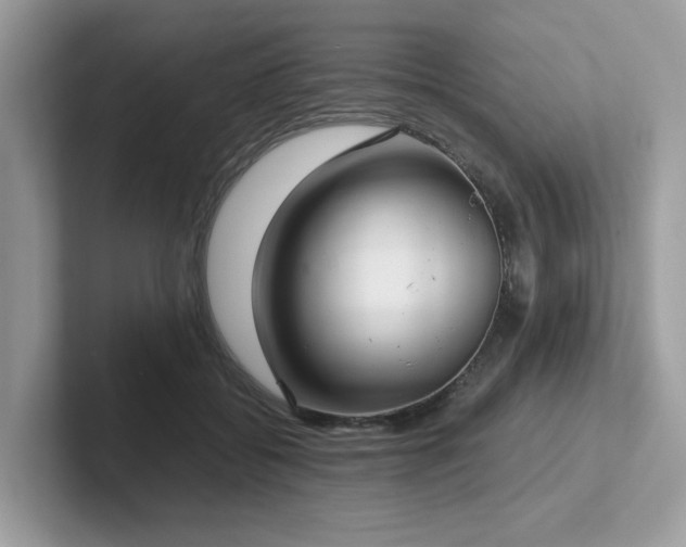 X0000102300556200807251437