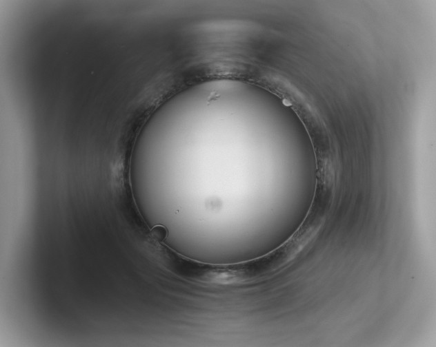 X0000102300557200807251437