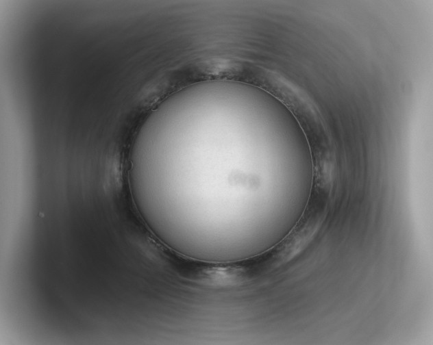 X0000102300558200807251437