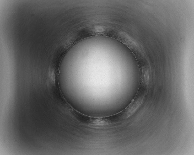 X0000102300562200807251437