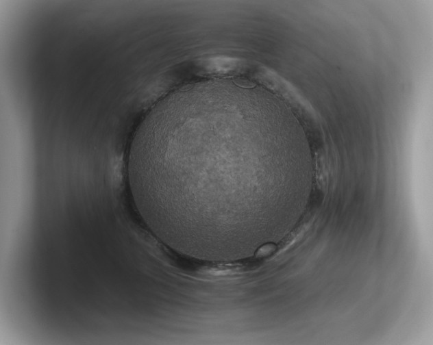 X0000102300563200807251437