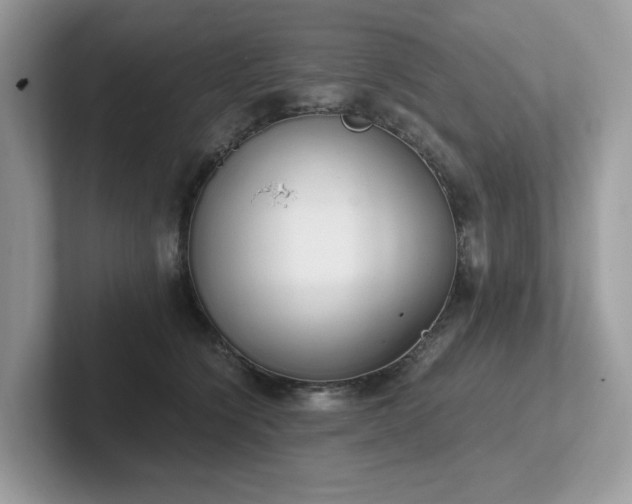 X0000102300564200807251437