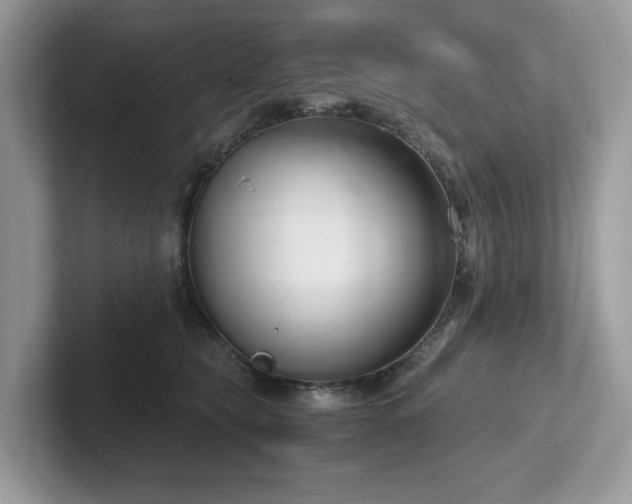 X0000102300565200807251437