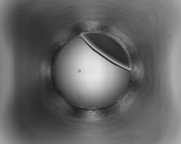 X0000102300566200807251437