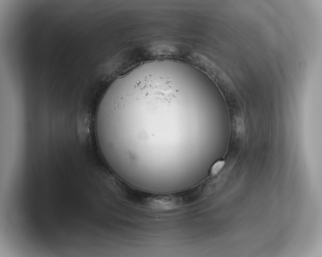 X0000102300567200807251437