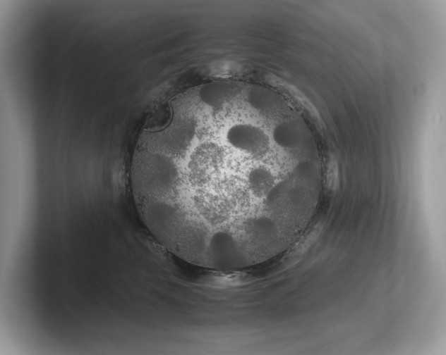 X0000102300569200807251437