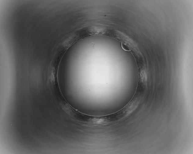 X0000102300570200807251437