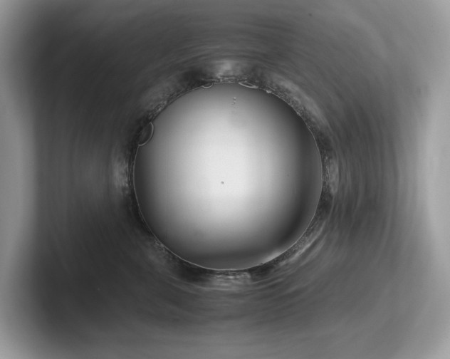 X0000102300571200807251437