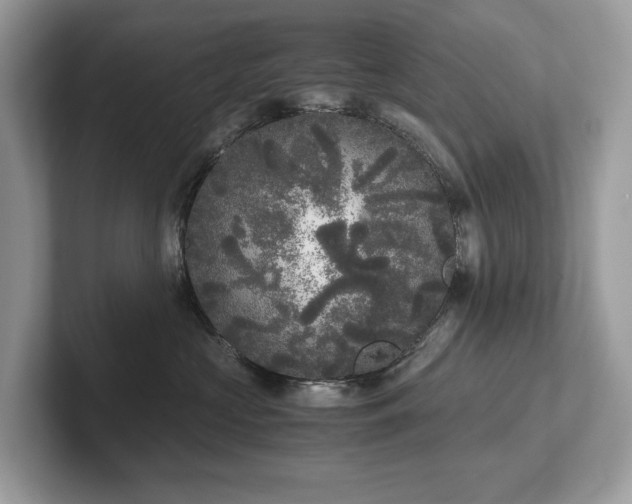 X0000102300573200807251437