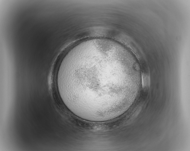 X0000102300579200807251437