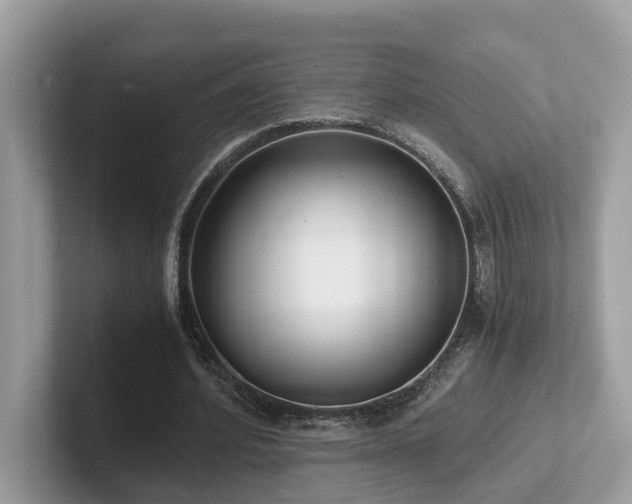 X0000102300580200807251437