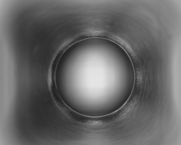 X0000102300582200807251437