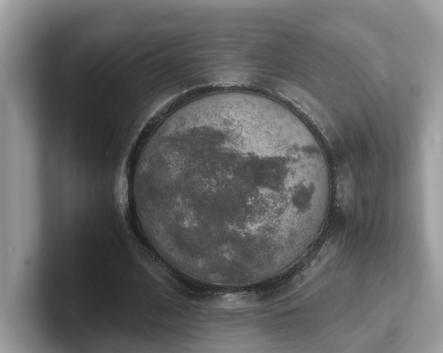 X0000102300584200807251437