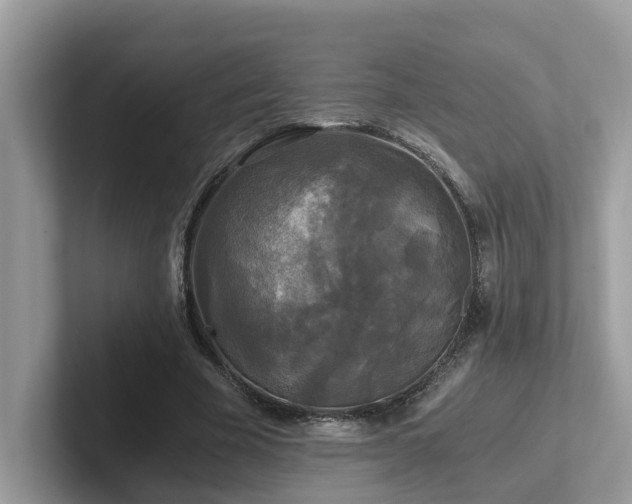 X0000102300585200807251437