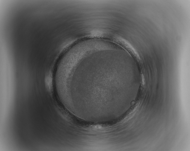 X0000102300588200807251437