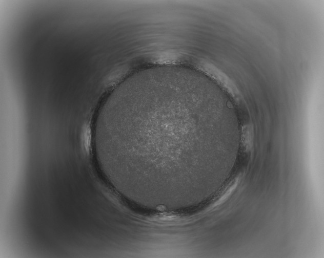 X0000102300589200807251437