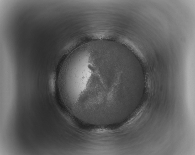 X0000102300590200807251436