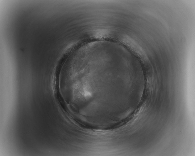 X0000102300592200807251436