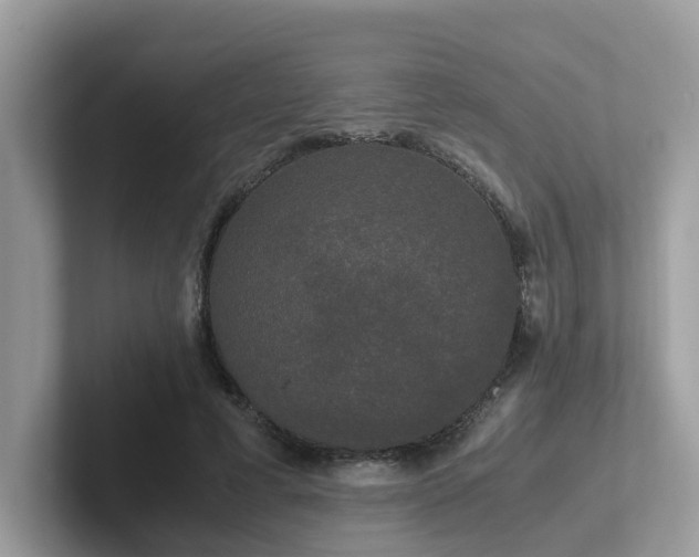 X0000102300593200807251436