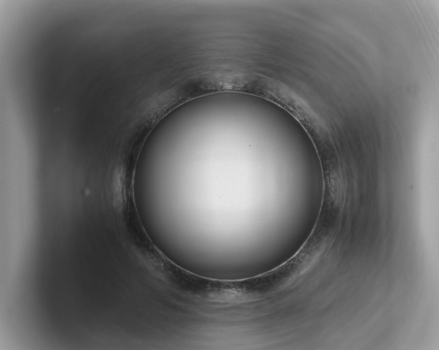 X0000102300594200807251436