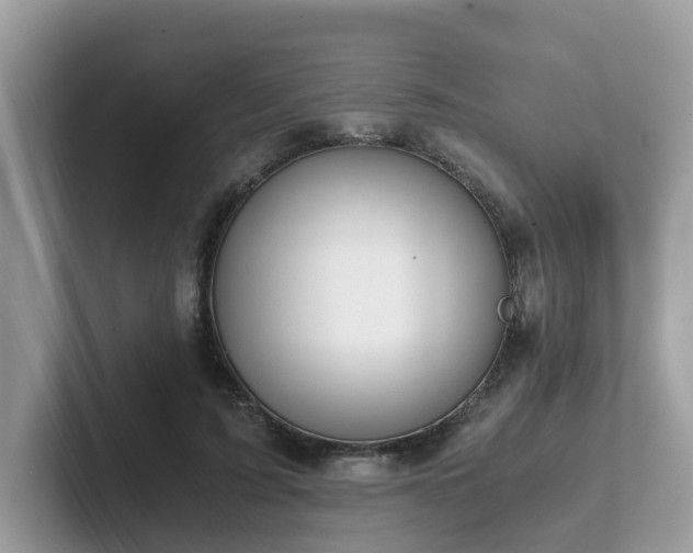 X0000102300595200807251436