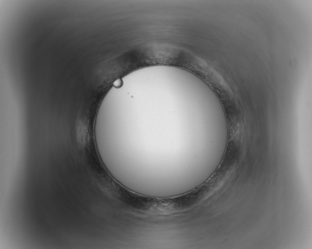 X0000102300599200807251436