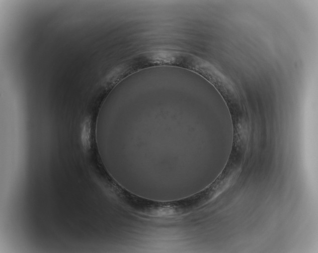 X0000102300600200807251436