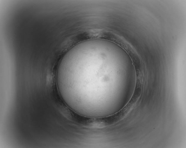 X0000102300601200807251436