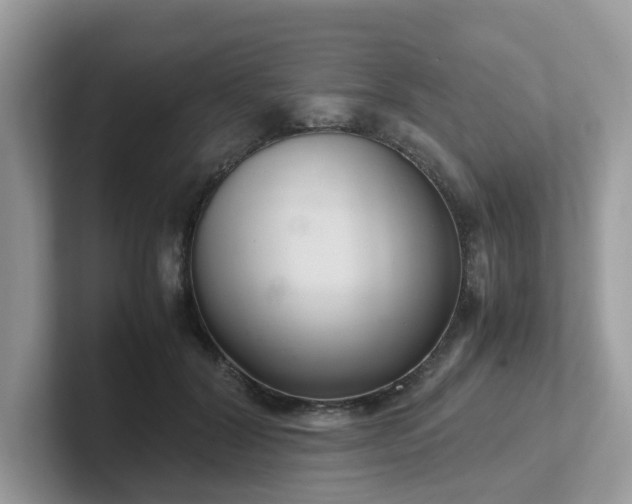 X0000102300604200807251436
