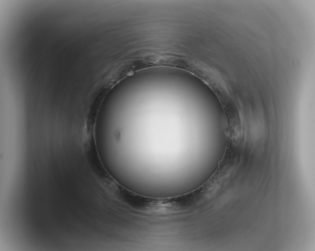 X0000102300607200807251436