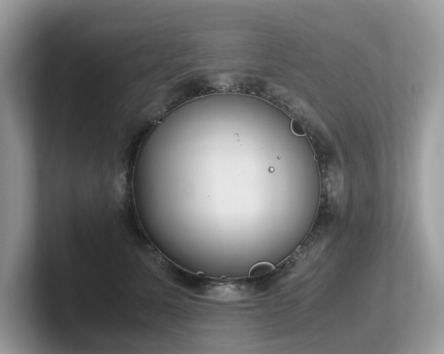 X0000102300611200807251436