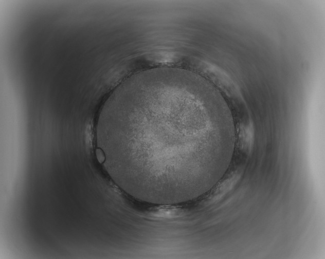 X0000102300612200807251436