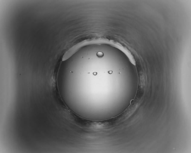 X0000102300613200807251436