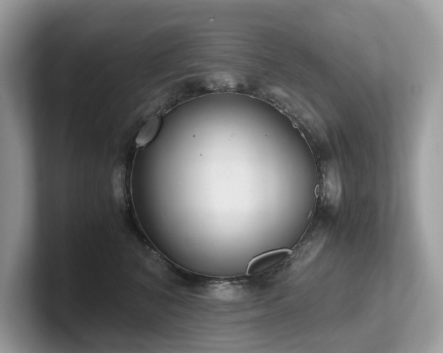 X0000102300616200807251436