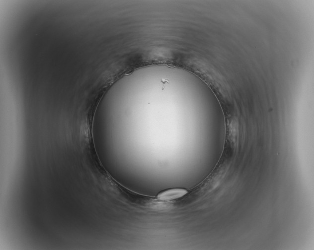 X0000102300617200807251436