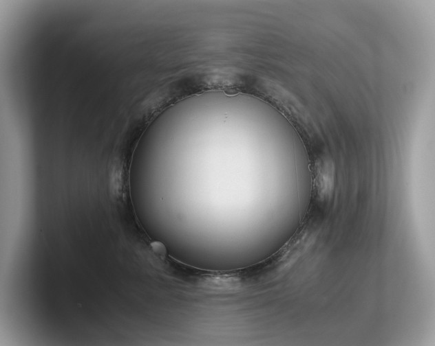 X0000102300619200807251436
