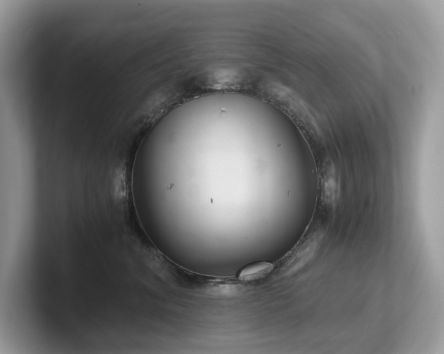 X0000102300620200807251436