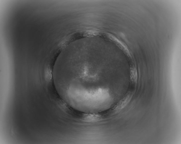 X0000102300621200807251436