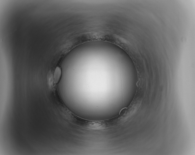 X0000102300624200807251436
