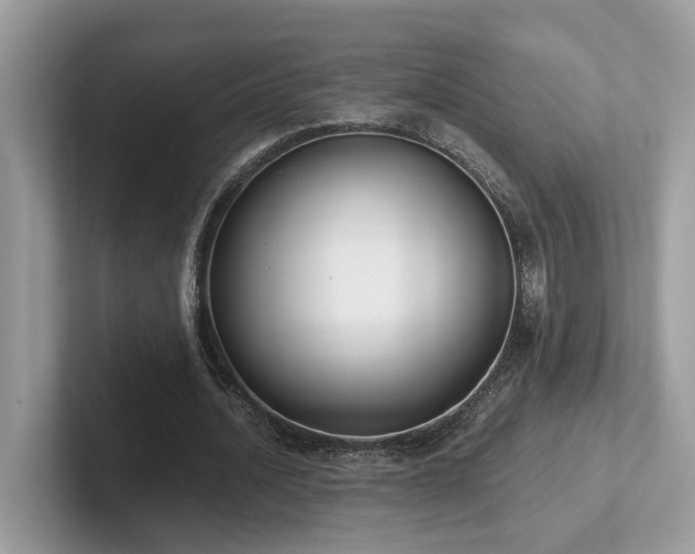 X0000102300628200807251435