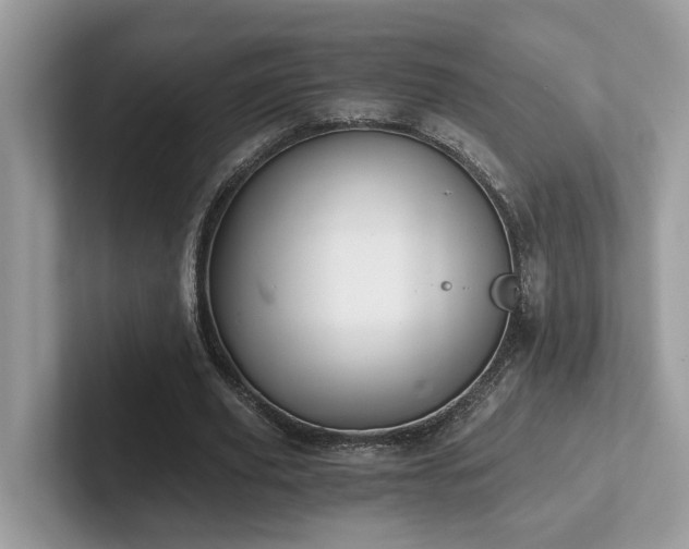 X0000102300629200807251435