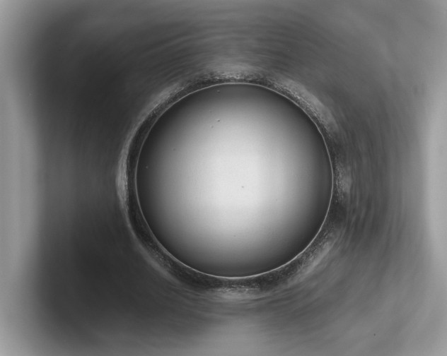 X0000102300630200807251435